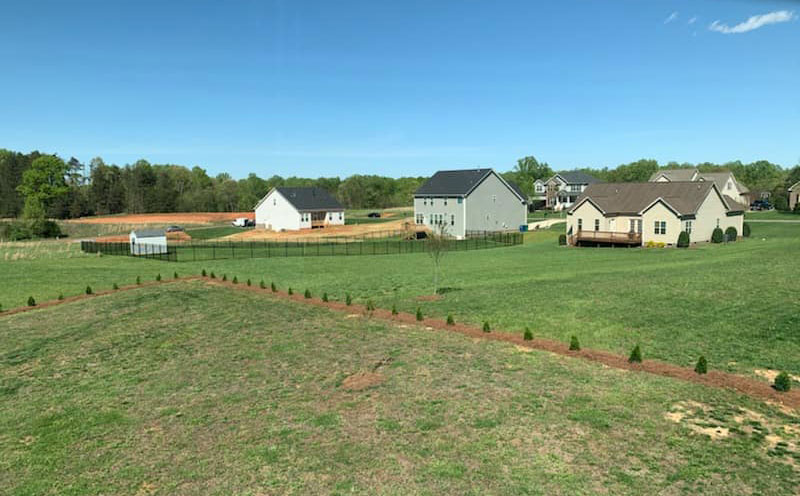 Woodbury-lawns-and-more-pine-needles-2
